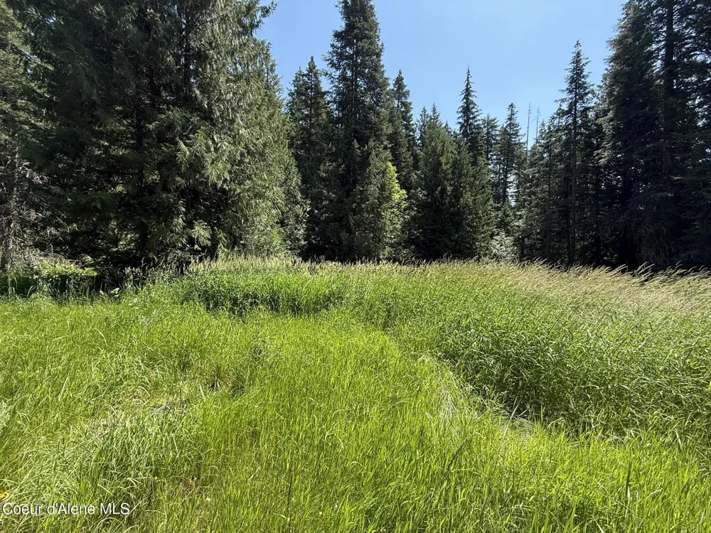 467 Dusty Ln St. Maries, ID 83861