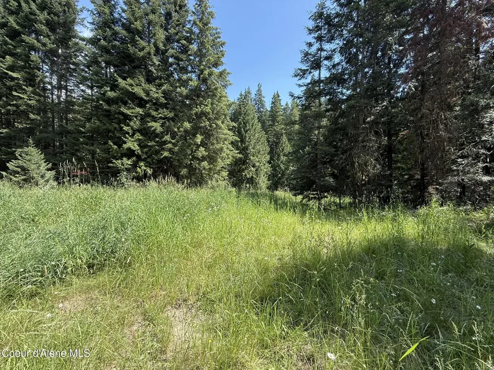 467 Dusty Ln St. Maries, ID 83861