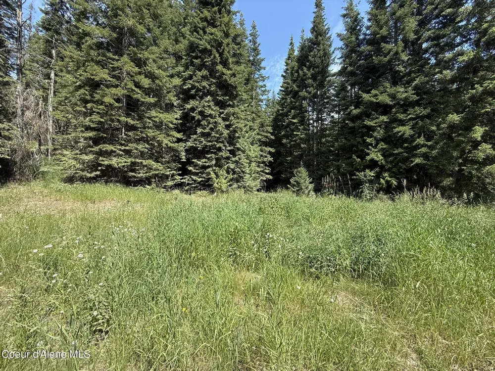 467 Dusty Ln St. Maries, ID 83861