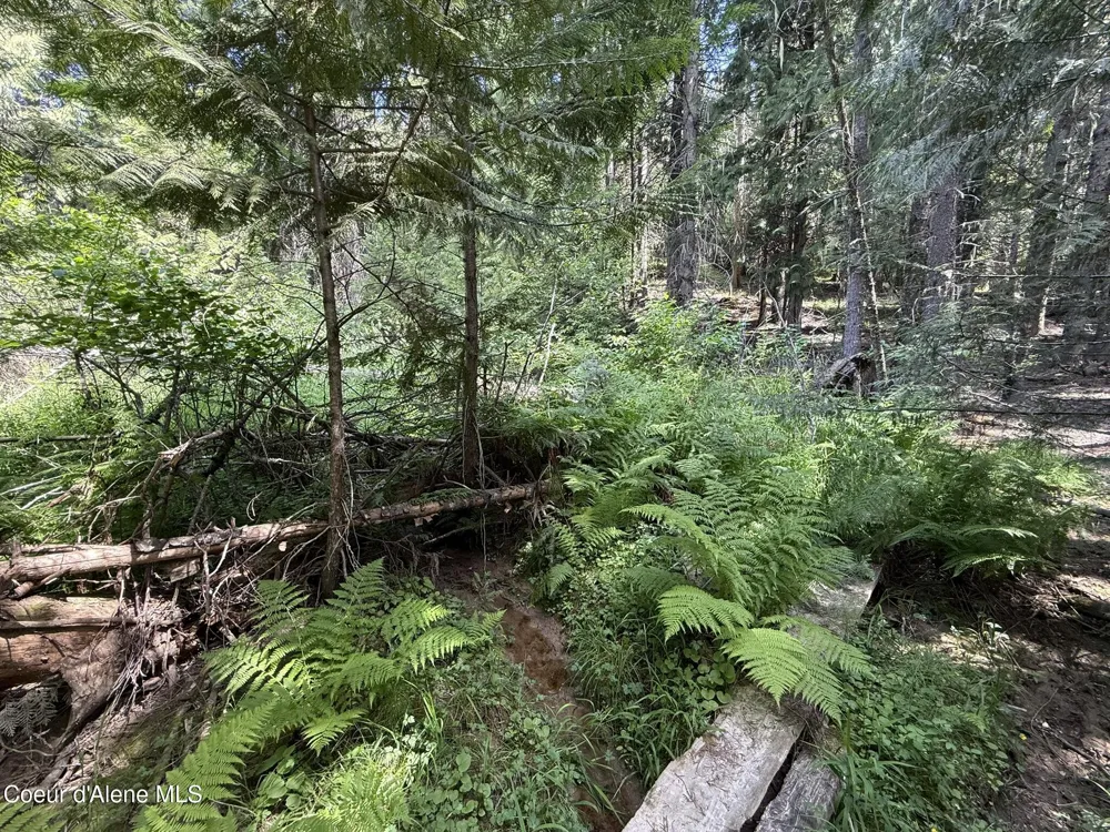467 Dusty Ln St. Maries, ID 83861
