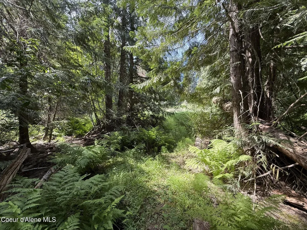 467 Dusty Ln St. Maries, ID 83861