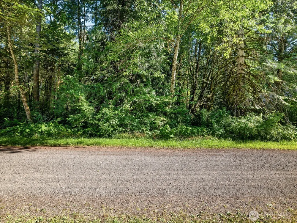 76011 NE 123rd Street Skykomish, WA 98288