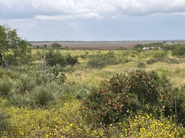 County Road 405 Merkel, TX 79536