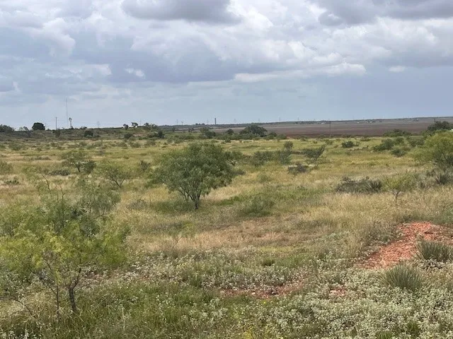 County Road 405 Merkel, TX 79536