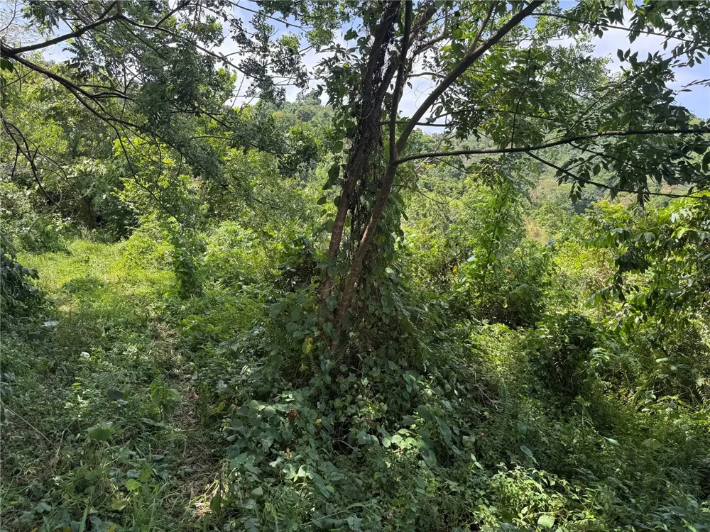 CARR 902 KM 10.1 Yabucoa, PR 00767