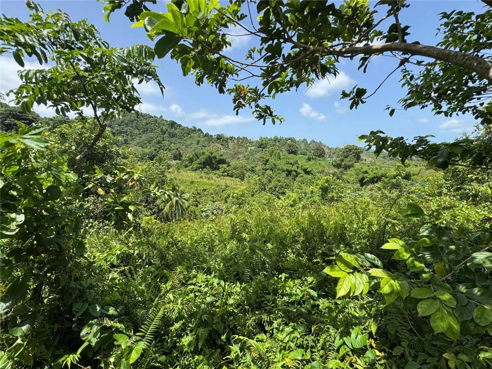 CARR 902 KM 10.1 Yabucoa, PR 00767