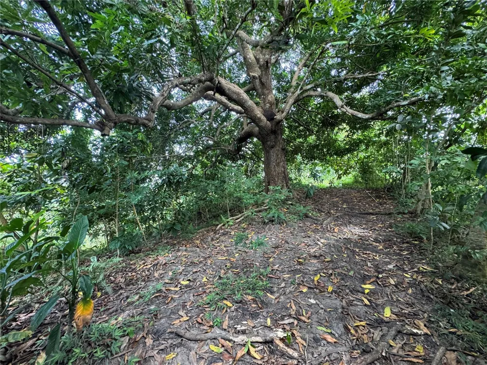 CARR 902 KM 10.1 Yabucoa, PR 00767