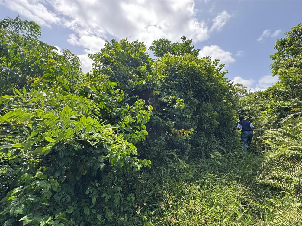 CARR 902 KM 10.1 Yabucoa, PR 00767