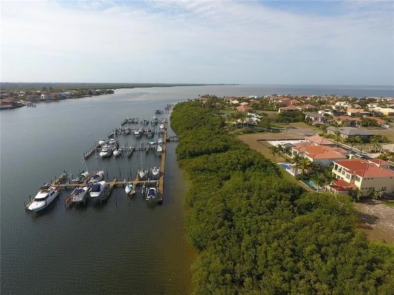 6451 RUBIA CIRCLE Apollo Beach, FL 33572