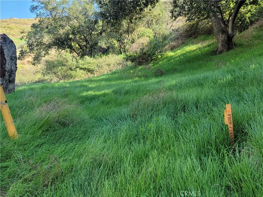 North Trail Sylmar, CA 91342