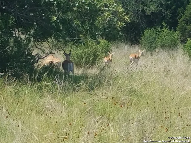 LOT 92 Summit Ridge Trail Johnson City, TX 78636