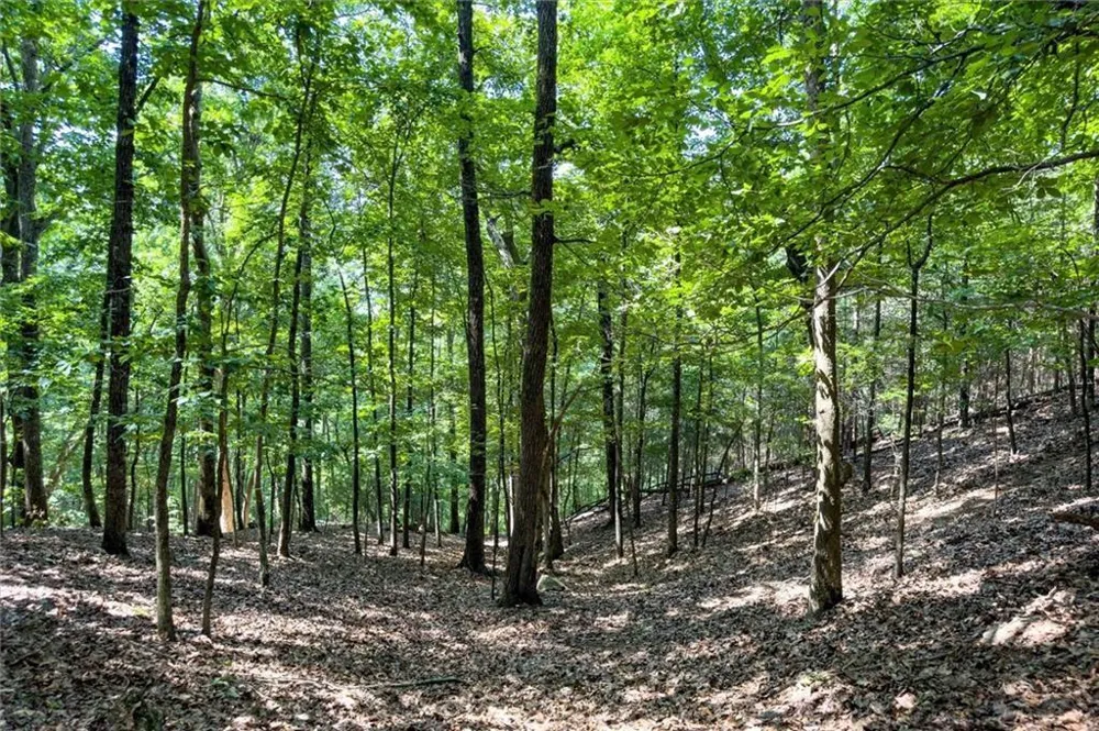 154 Ponderosa Lane Waleska, GA 30183