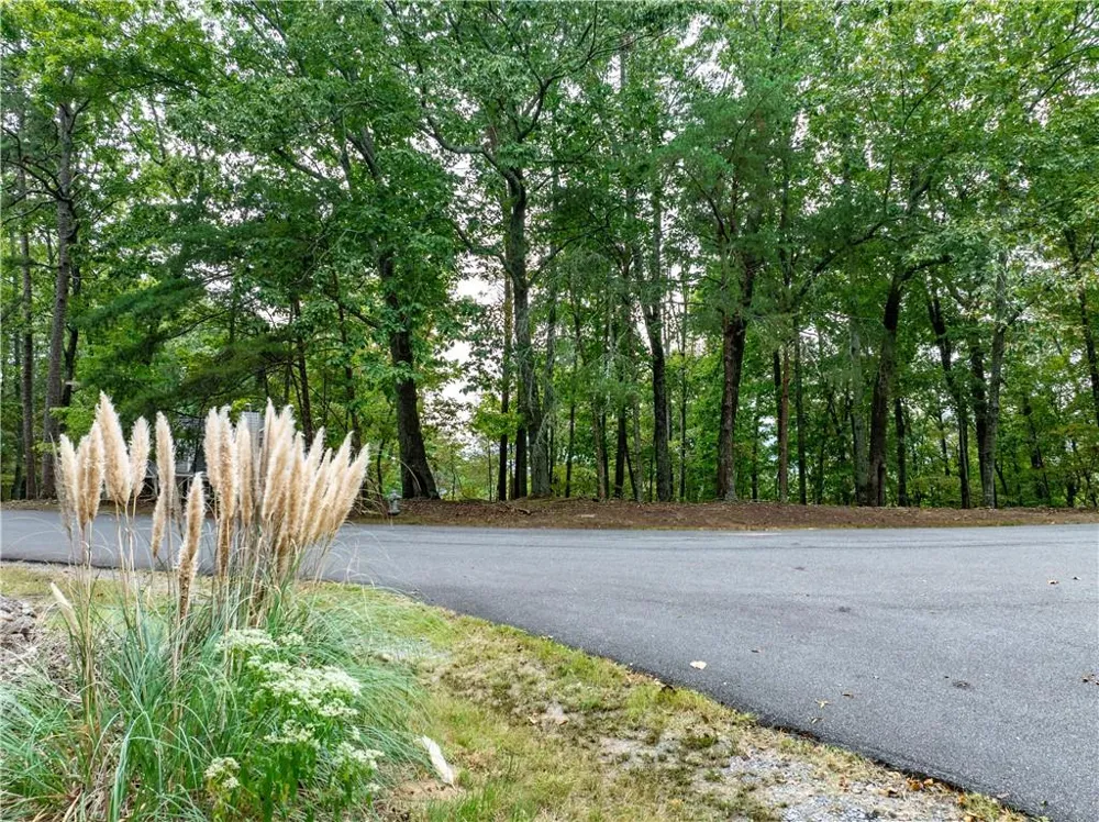 154 Ponderosa Lane Waleska, GA 30183