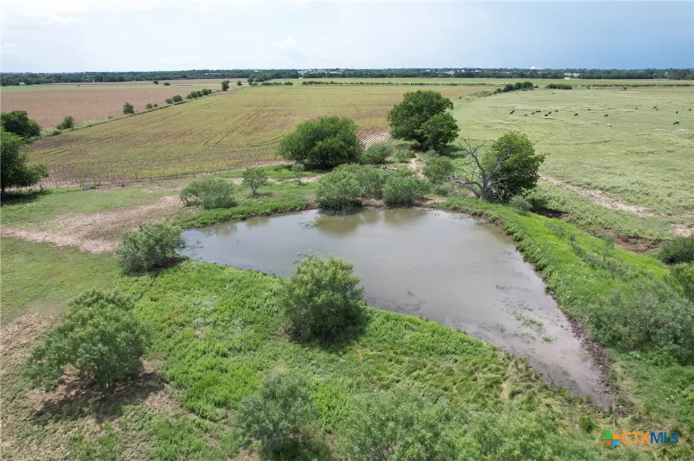 7216 CR 446 Thorndale, TX 76577