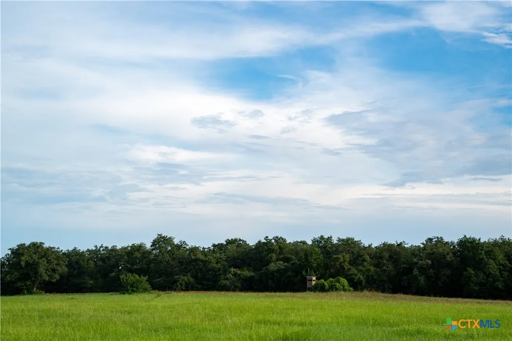 CR 328 Milano, TX 76556