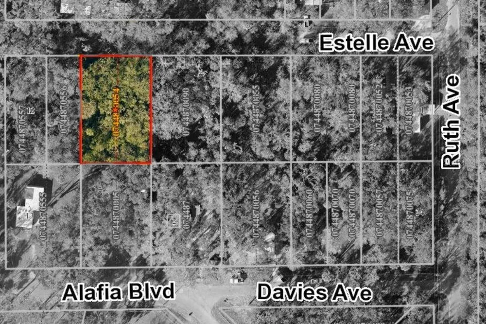 931 ESTELLE AVENUE Brandon, FL 33511