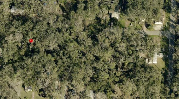 931 ESTELLE AVENUE Brandon, FL 33511