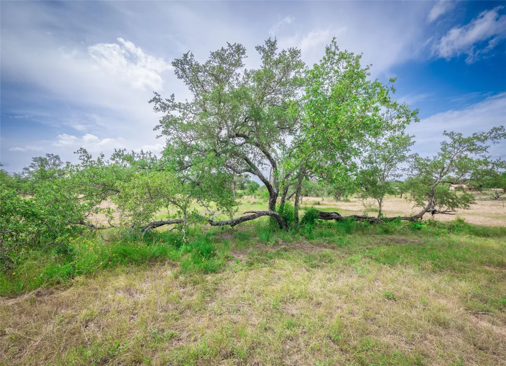 Winnie Smith Road Round Mountain, TX 78663