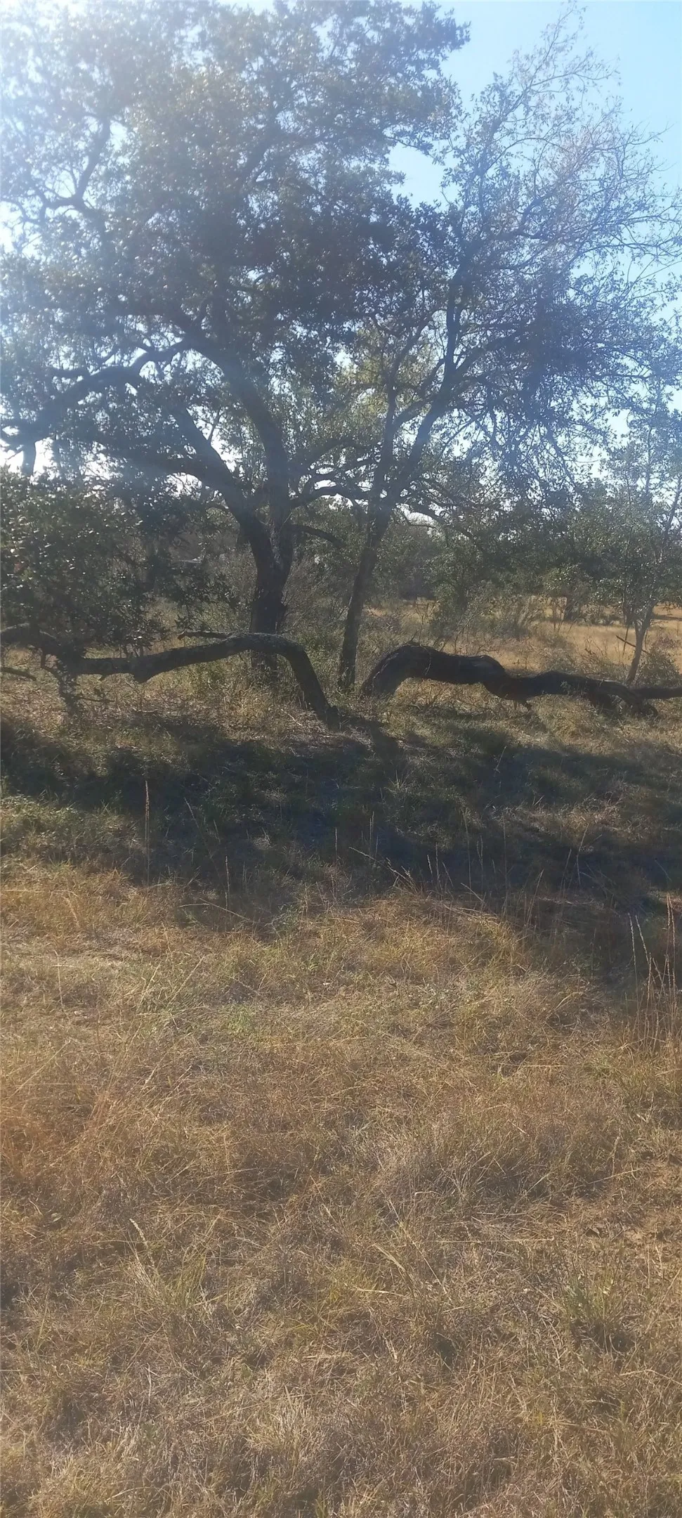 Winnie Smith Road Round Mountain, TX 78663