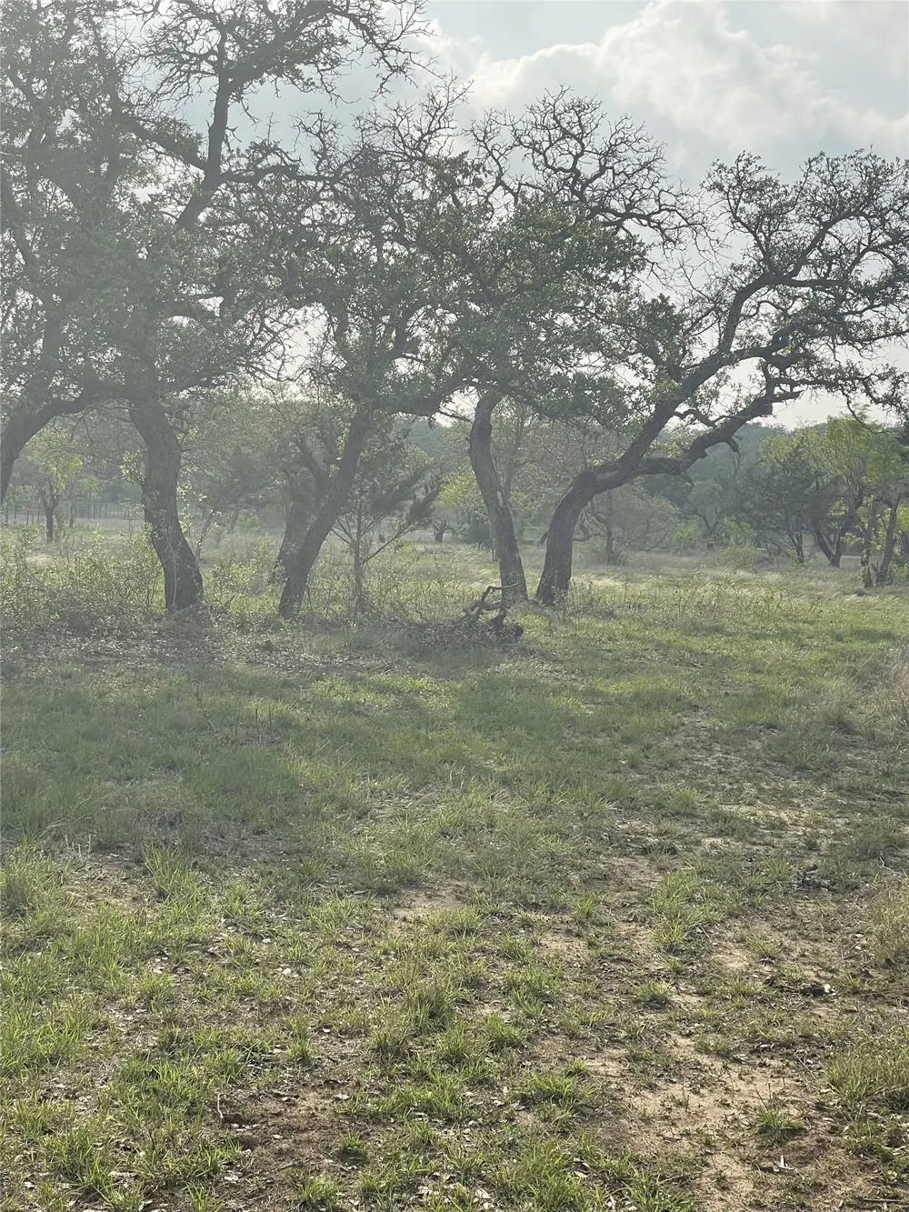 Winnie Smith Road Round Mountain, TX 78663