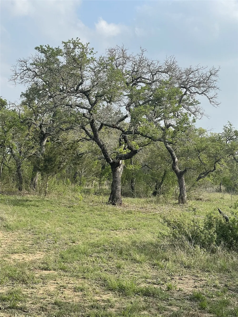 Winnie Smith Road Round Mountain, TX 78663