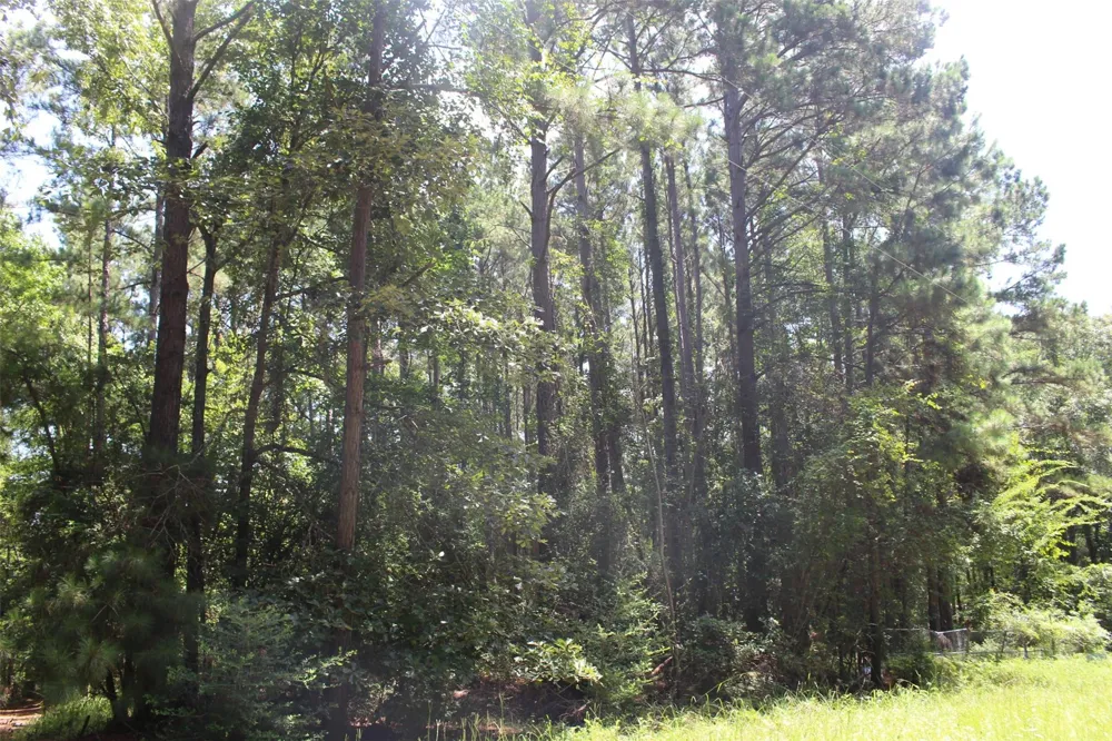 Private Road 6050 Crockett, TX 75835