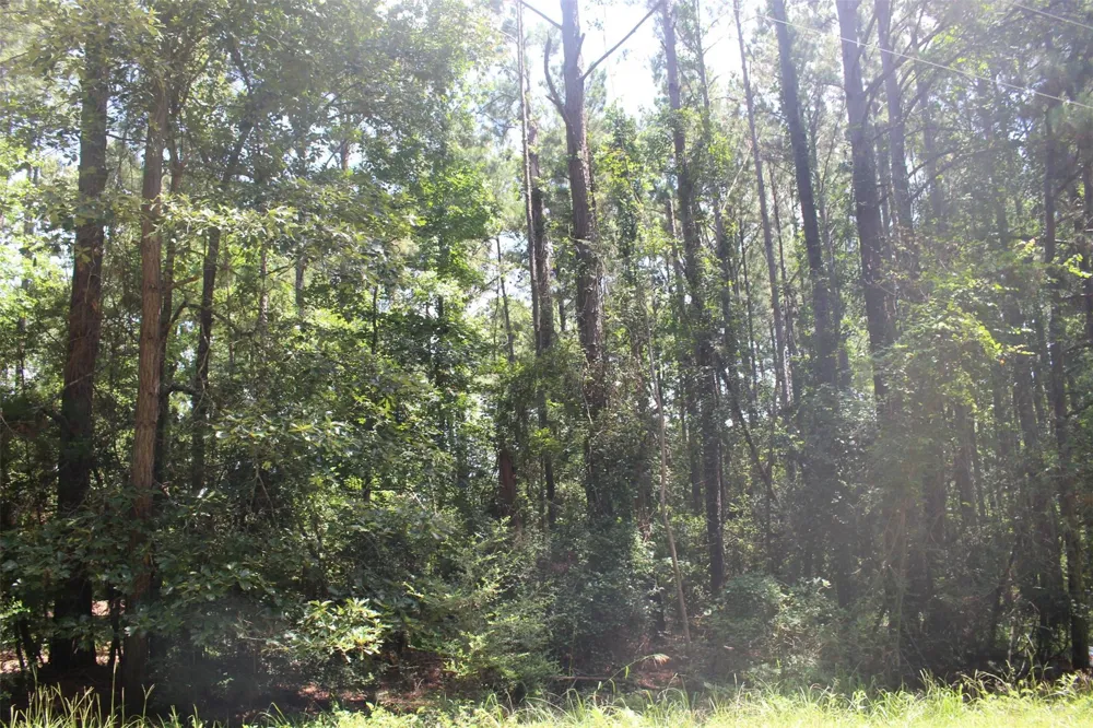 Private Road 6050 Crockett, TX 75835