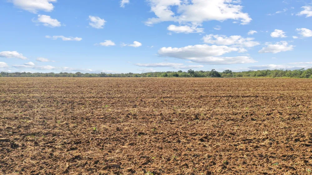 County Road 136 Coleman, TX 76834