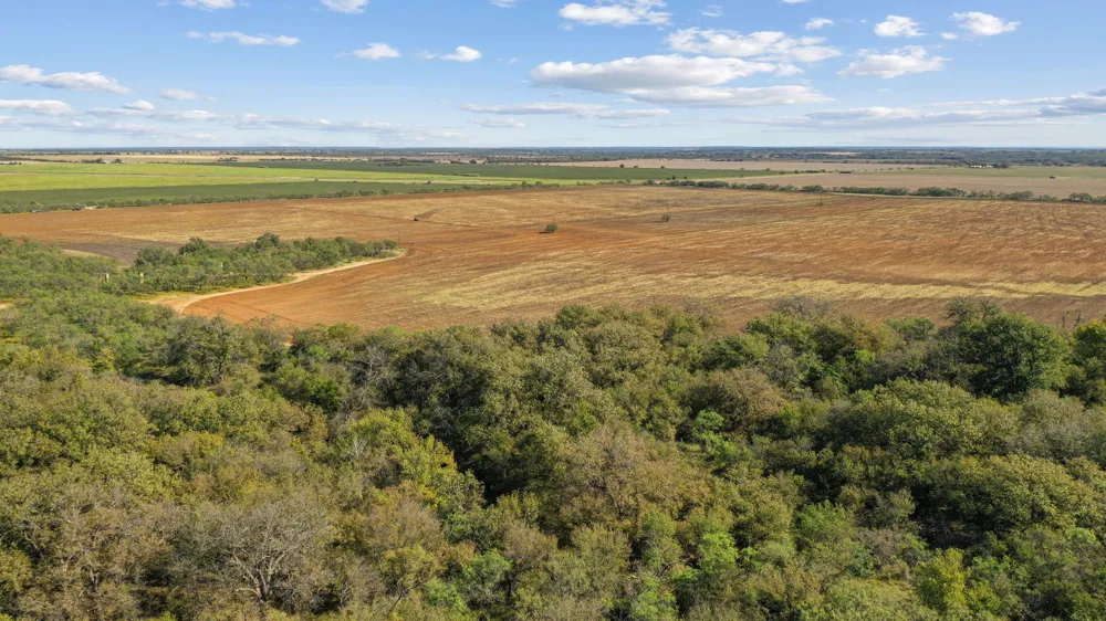 County Road 136 Coleman, TX 76834