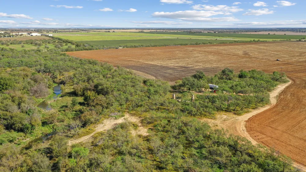 County Road 136 Coleman, TX 76834