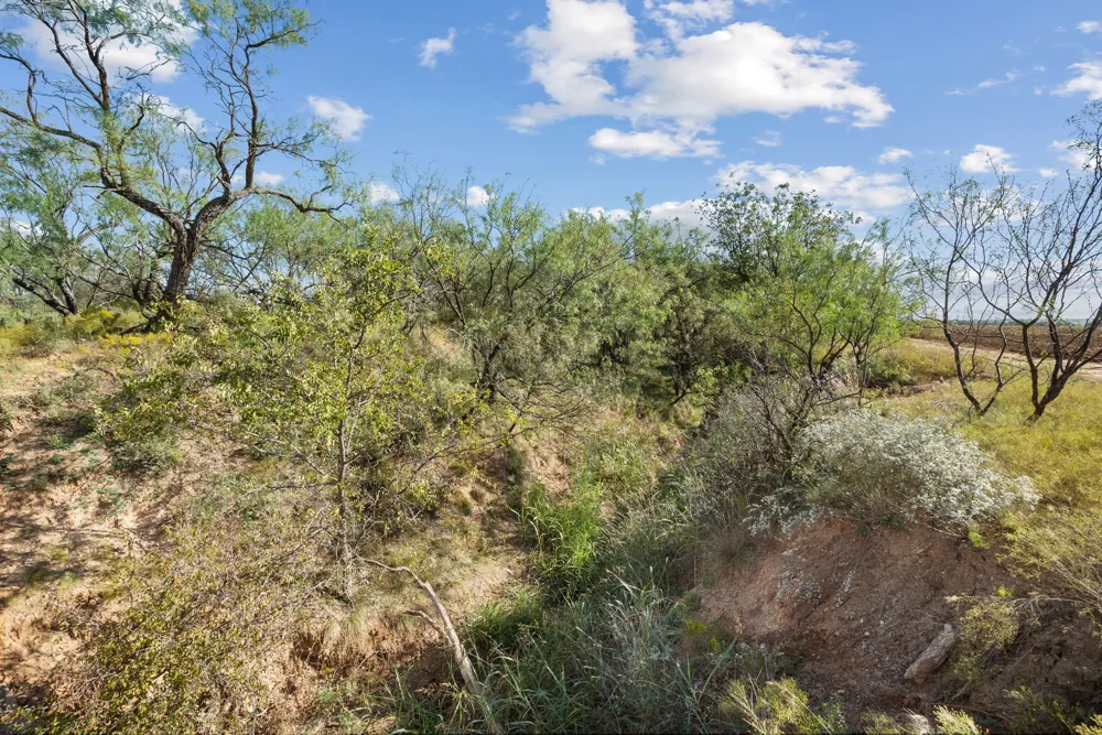 County Road 136 Coleman, TX 76834
