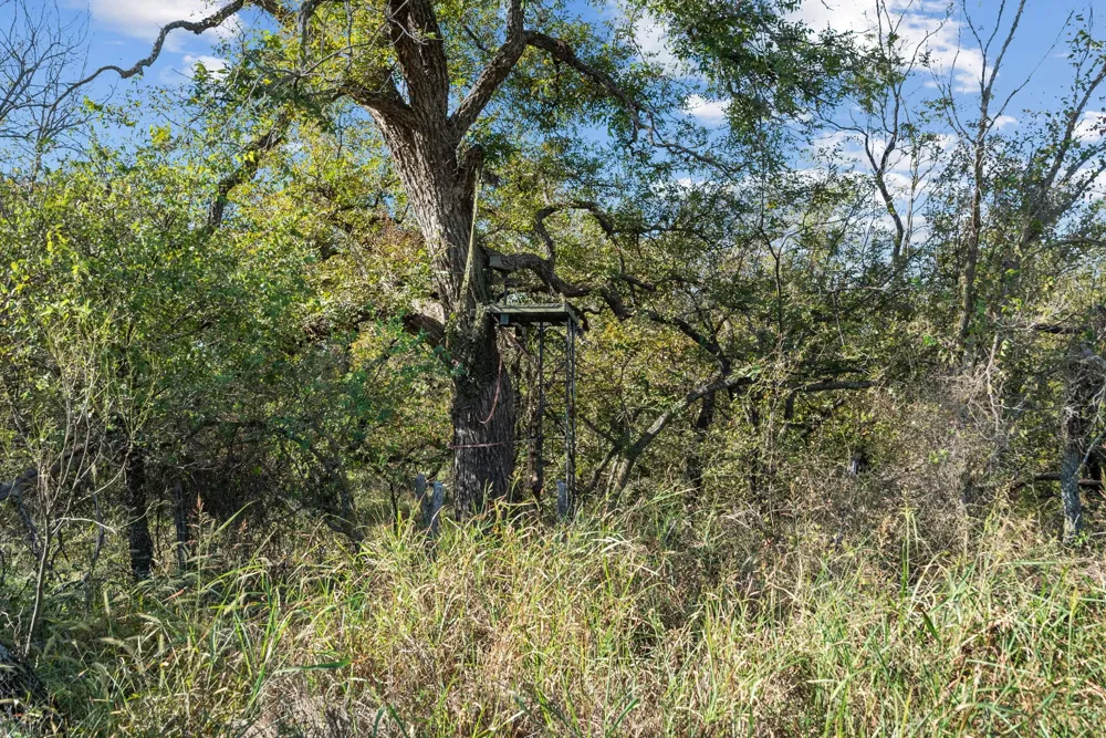 County Road 136 Coleman, TX 76834