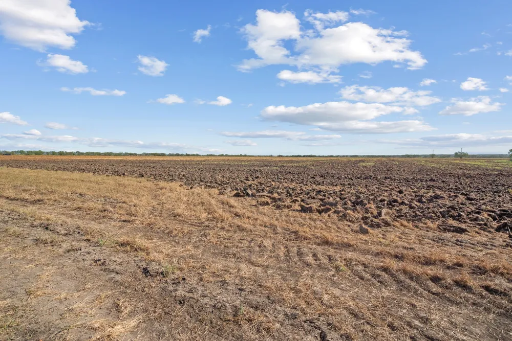 County Road 136 Coleman, TX 76834