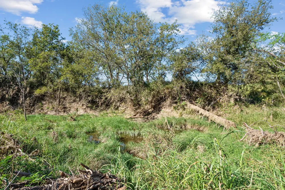 County Road 136 Coleman, TX 76834