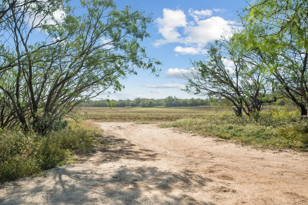 County Road 136 Coleman, TX 76834