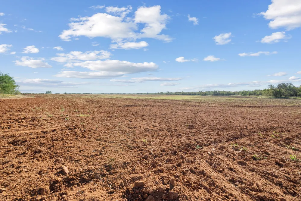 County Road 136 Coleman, TX 76834