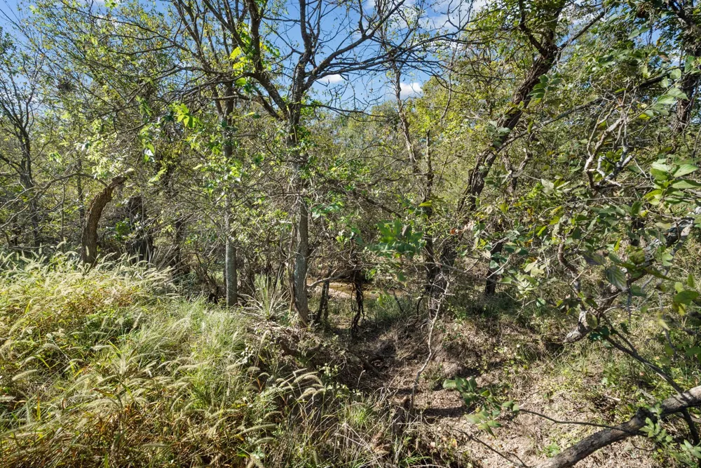 County Road 136 Coleman, TX 76834