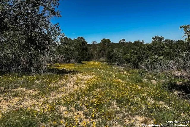 000 Fm 1303 Floresville, TX 78114