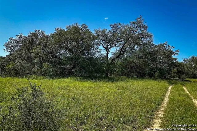 000 Fm 1303 Floresville, TX 78114