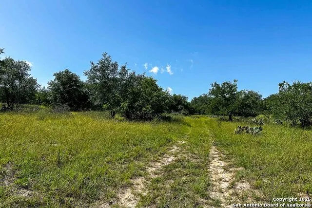 000 Fm 1303 Floresville, TX 78114