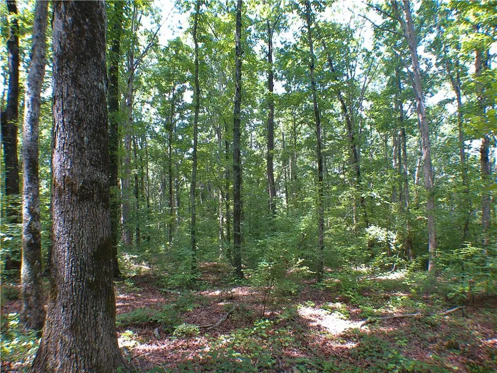 00 Mt Tabor Road Oxford, GA 30054