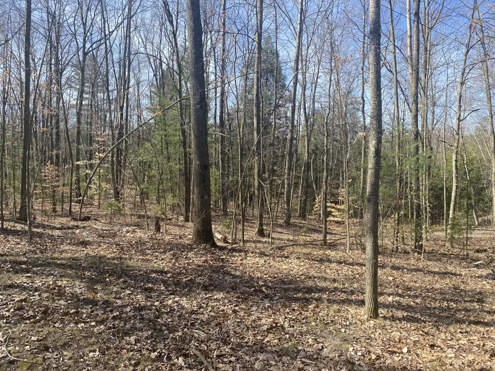 9019 John Street Mecosta, MI 49332