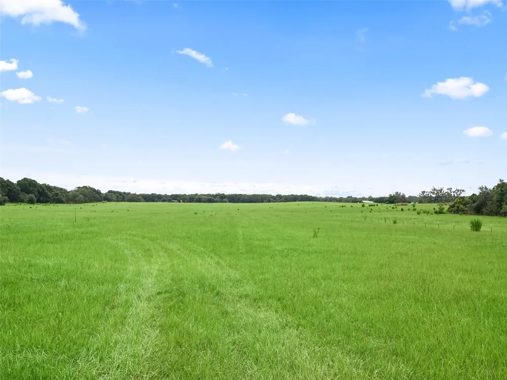 8567 CR 635 Bushnell, FL 33513