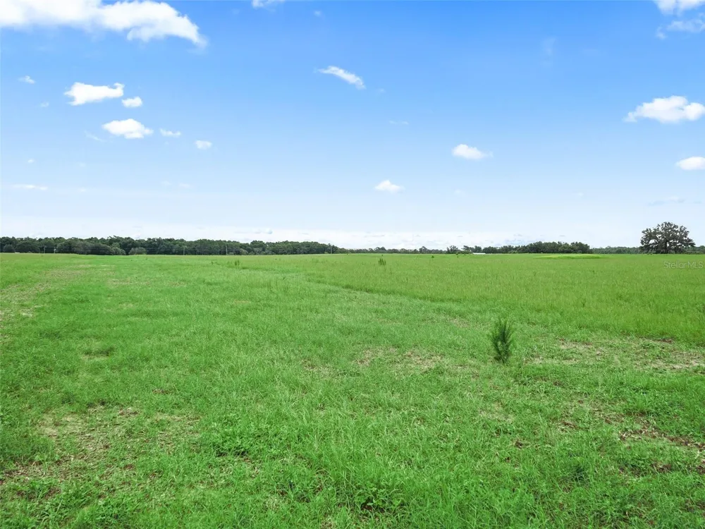 8567 CR 635 Bushnell, FL 33513