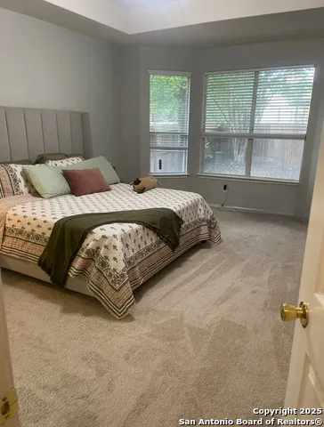 10115 Caspian Ledge San Antonio, TX 78254