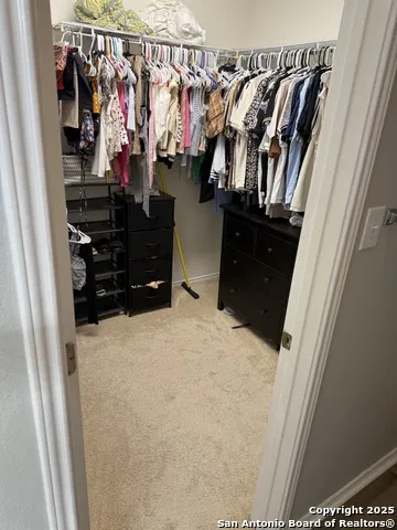 10115 Caspian Ledge San Antonio, TX 78254