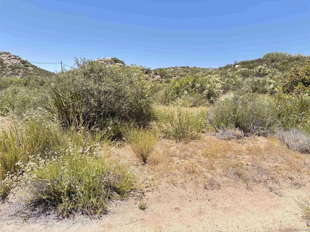 Hwy 94 Campo, CA 91906