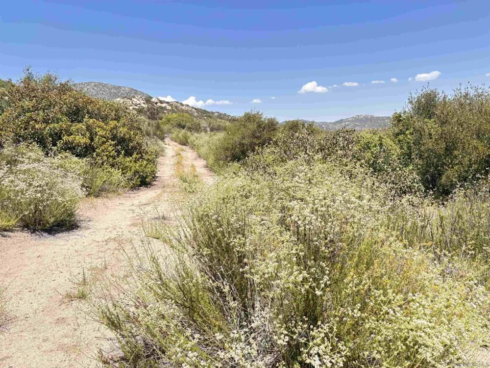 Hwy 94 Campo, CA 91906
