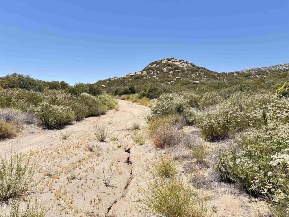 Hwy 94 Campo, CA 91906