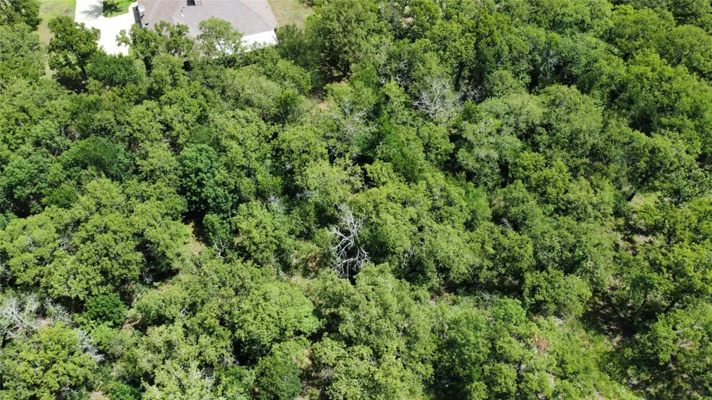 Comewell Court Runaway Bay, TX 76426